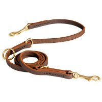 Leather and Extra Strong Dog Leash