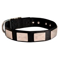 Nylon Dog Collar With Beautiful Vintage Plates