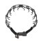 Perfect Training Prong Dog Collar - 1/11" Link Diameter