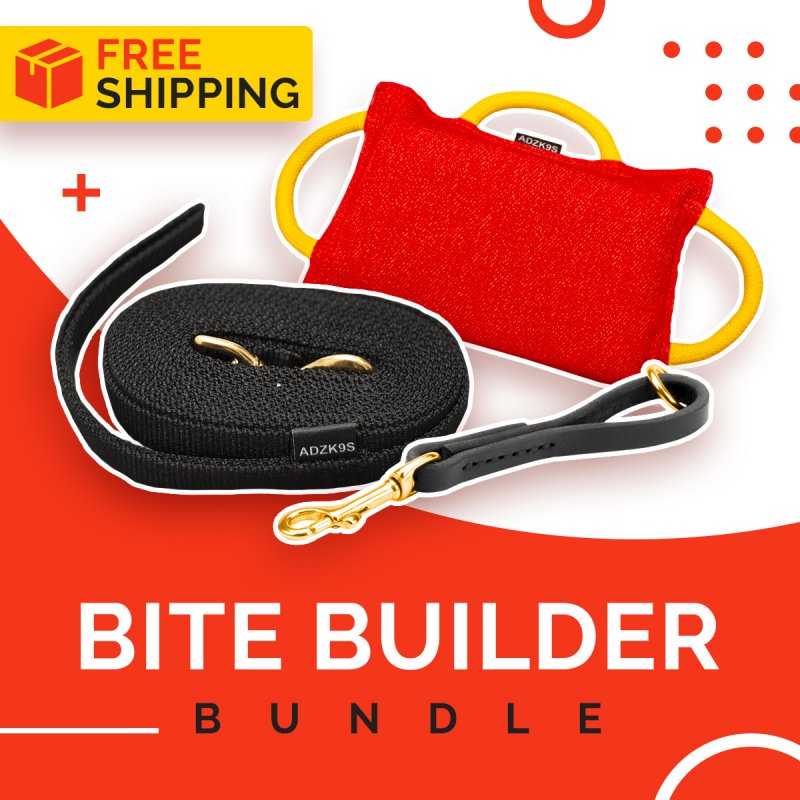 Dog training equipment set - Save now!