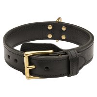 2 ply Leather Training Dog Collar