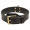 2 ply Leather Training Dog Collar