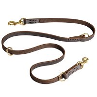 Premium Quality Dog Collar with Two Snap Hooks