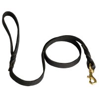 Superb Dog Leash with Braided Decoration