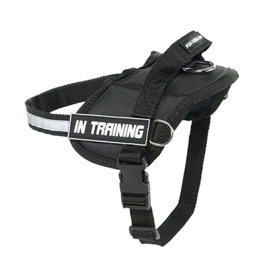Reflective Nylon Dog Harness with handle for better control