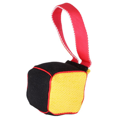 Tug Dog Toy of Cubic Shape, 4*4" Size