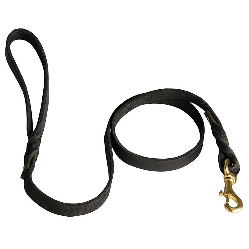 Superb Dog Leash with Braided Decoration