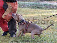 bully Work Out Bite Sleeve - X-Sleeve