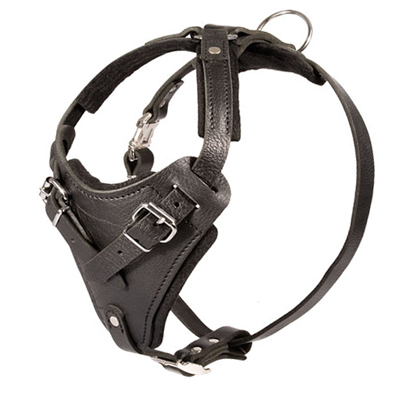 Sturdy Agitation/Protection Leather Dog Harness