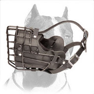 Revolutionary Fully Padded Wire Cage Muzzle for Winter Walking