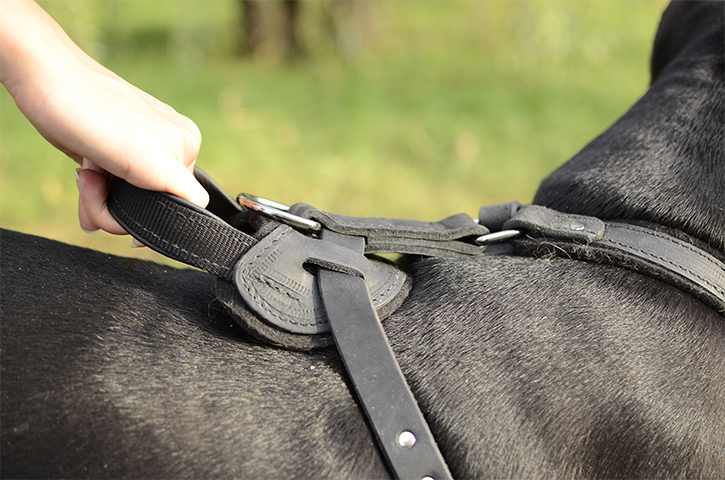 Sturdy Agitation/Protection Leather Dog Harness