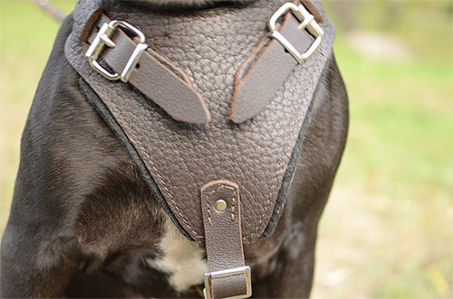 Felt Padded Leather Harness