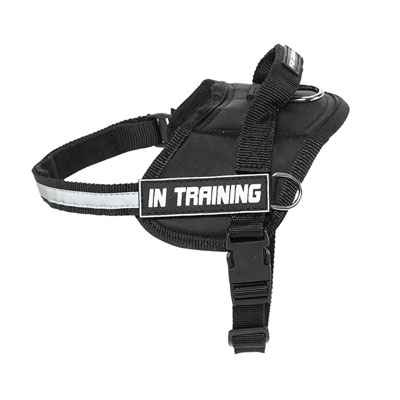 Reliable dog harness for all weather use