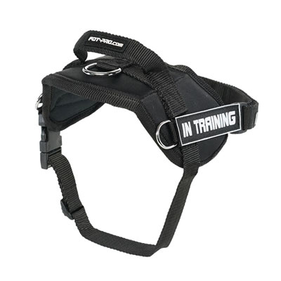 Comfortable dog harness made of strong nylon