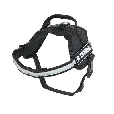 Comfortable nylon dog harness for any activity 