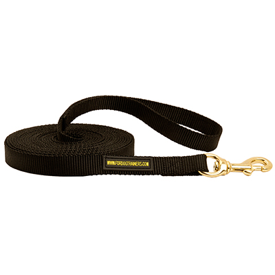 Nylon tracking dog leash with brass hardware