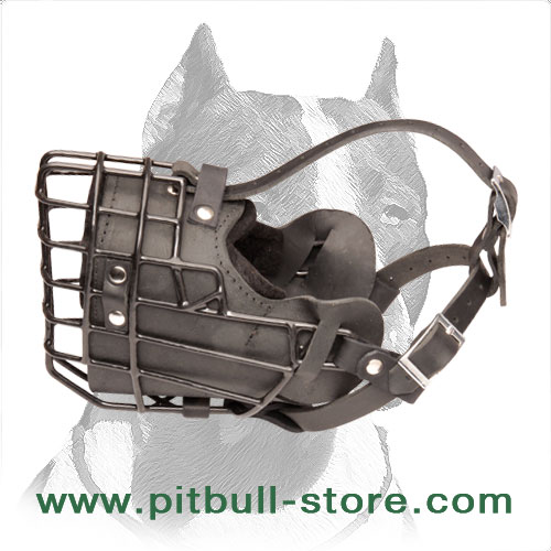 Revolutionary Fully Padded Wire Cage Muzzle for Winter Walking