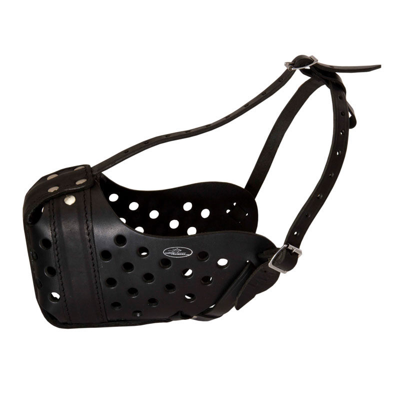 Dog Attack Training Leather Muzzle for Big Dogs